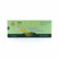 PINE BRAND Ginseng Extractum  10x10cc