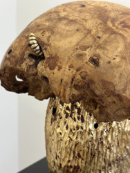 Joel Raivio  Vintge  2025