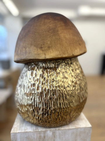 Joel Raivio  Bolet  2025