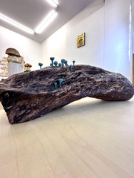 Joel Raivio  Population, 2025