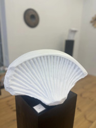 Joel Raivio Lost world 2025