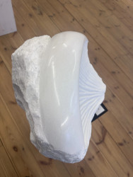 Joel Raivio Lost world 2025