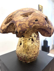 Joel Raivio  Vintge  2025