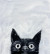 PAINT YOUR PET La 14.11.  14-16  