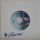 Funkykarkurit: Elämän kulkukoira