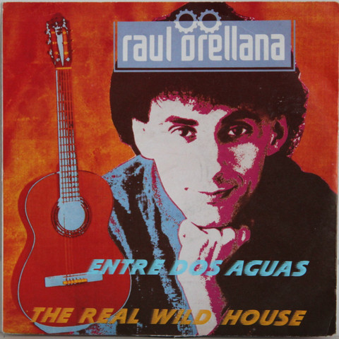 Orellana Raul: The Real Wild House