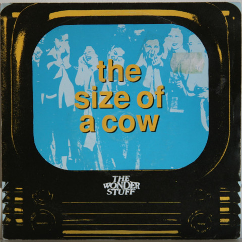Wonder Stuff: The Size Of A Cow