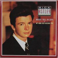 Astley Rick: When I Fall In Love