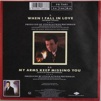 Astley Rick: When I Fall In Love