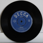 Koivuniemi Paula: Perhonen