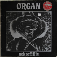 Organ: Nekrofiilis	