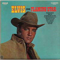 Presley Elvis: Flaming Star	