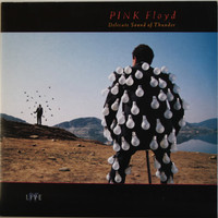 Pink Floyd: Delicate Sound Of Thunder	