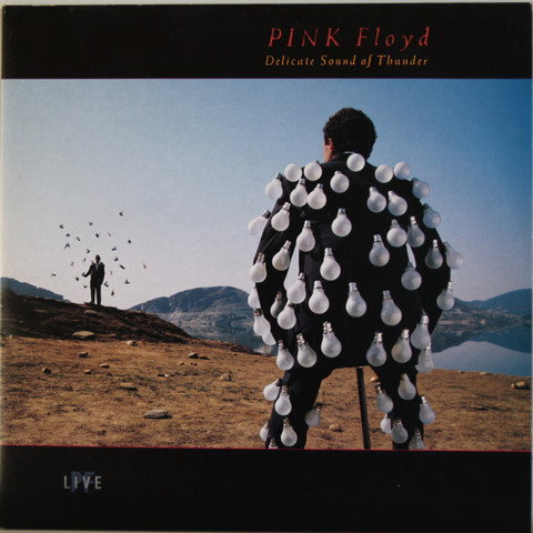 Pink Floyd: Delicate Sound Of Thunder	