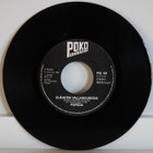 Popeda: Eläinten vallankumous