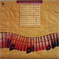 Leskinen Juice: Haitaribussi	