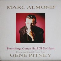 Almond Marc & Gene Pitney: Something's Gotten Hold Of My Heart	
