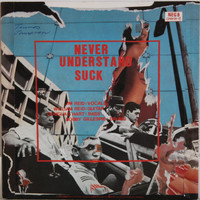 Jesus And Mary Chain: Never Understand