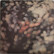 Pink Floyd: Obscured By Clouds	