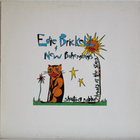 Edie Brickell & New Bohemians: Shooting Rubberbands At The Stars	