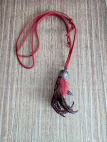 The forest's claw