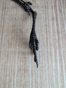 Fuck You crow's foot necklace