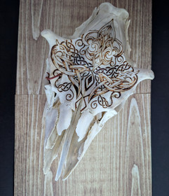 Patterned moose skull