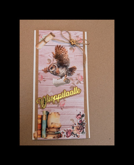 Ylioppilaalle leikekuvakirja 