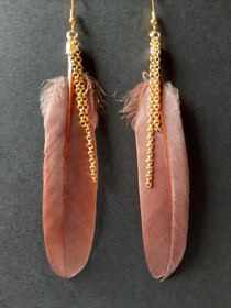 Brown Feather Earrings