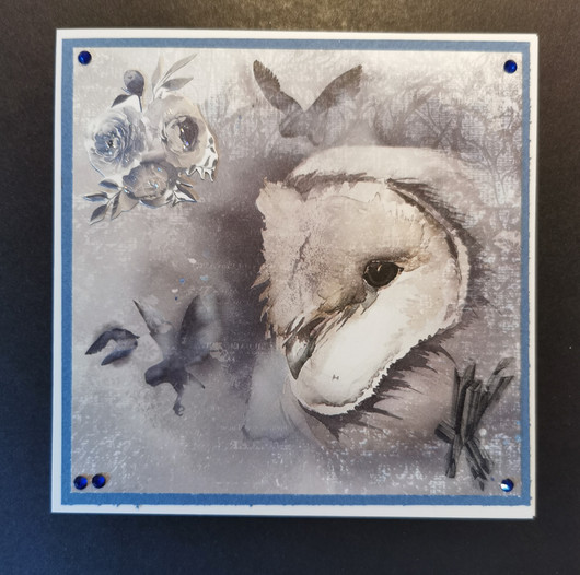 Owl card