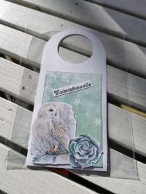 Bottle graduate card with an owl