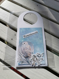 Bottle graduate card with an owl