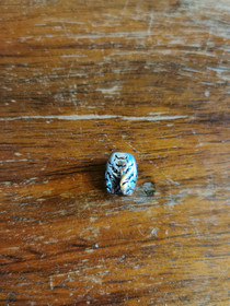 Silver wolf beard/dreadlock bead