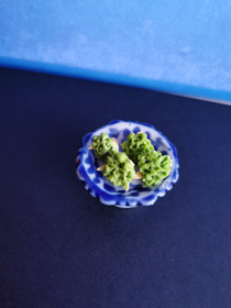 Dollshouse mini parsakaali