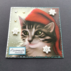 Christmas card cat
