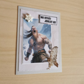 Viking warrior christmas card 