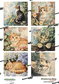 Card picture sheet cats