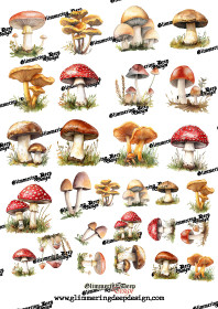 Matt mushroom picture sheet