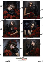 Pre-order card images and texts!