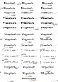 Text sheet A4 for high school students
