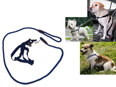 Koiran talutusremmi valjailla pienet koirat 6 kpl 1,90€ kpl.