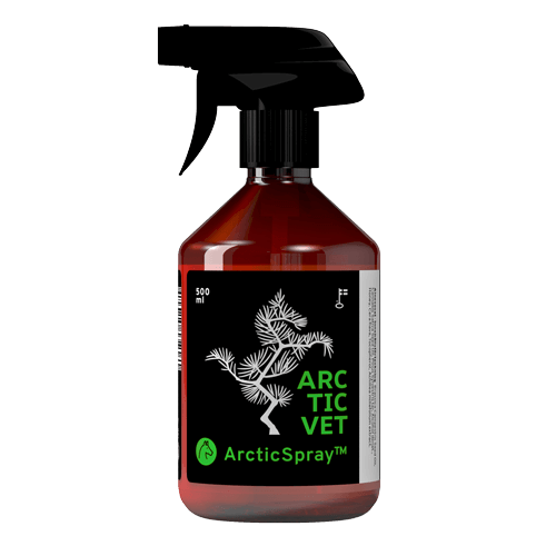ArcticSpray-suihke 500ml