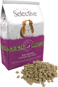 Supreme Selective Guinea Pig Marsu