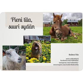 Raikon Tila postikortti