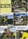 Tex Willer Kirjasto 29: Terroria Rio Sonoralla