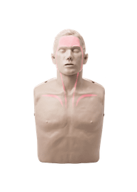 Brayden Adult Advanced