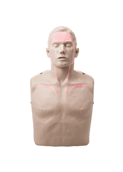 Brayden Adult Advanced