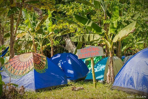 WEEKEND ONLY Bring your own tent 2025