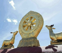 Dhamma ry: Buddhalainen meditaatioretriitti