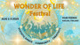 Lucky Bird – WONDER OF LIFE 2025 FESTIVAL TICKET